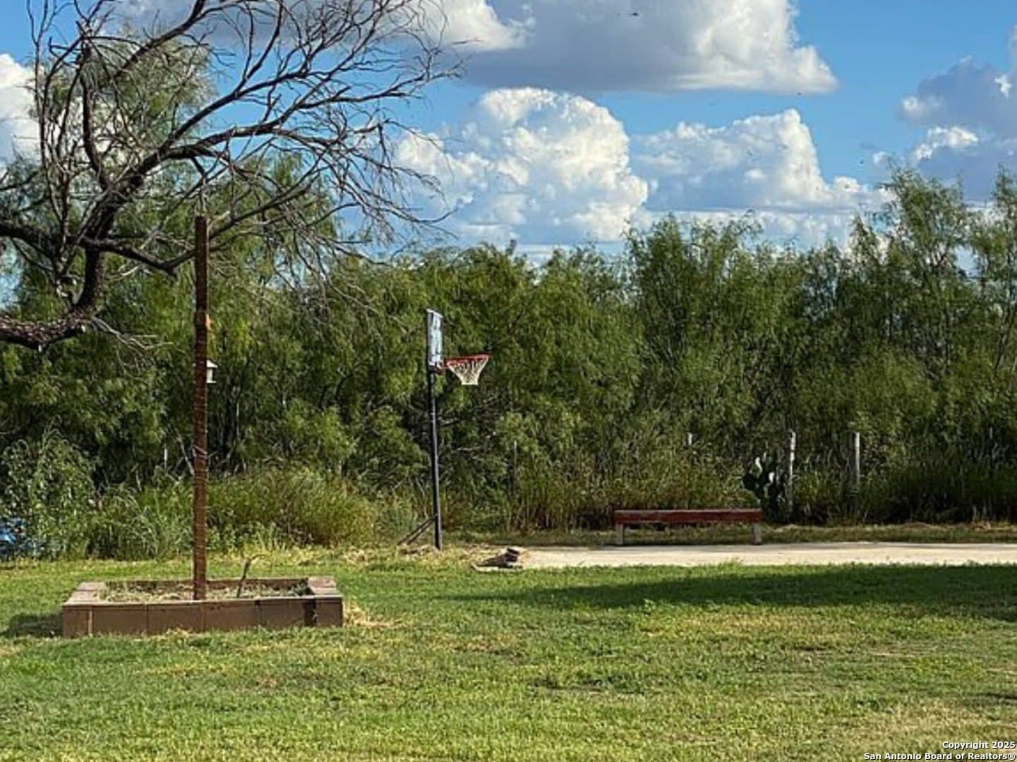 13 acres in Dimmit County - photo 12