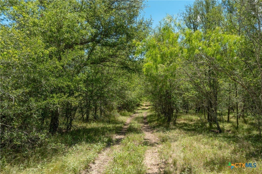 22.78 acres in Gonzales County - photo 6