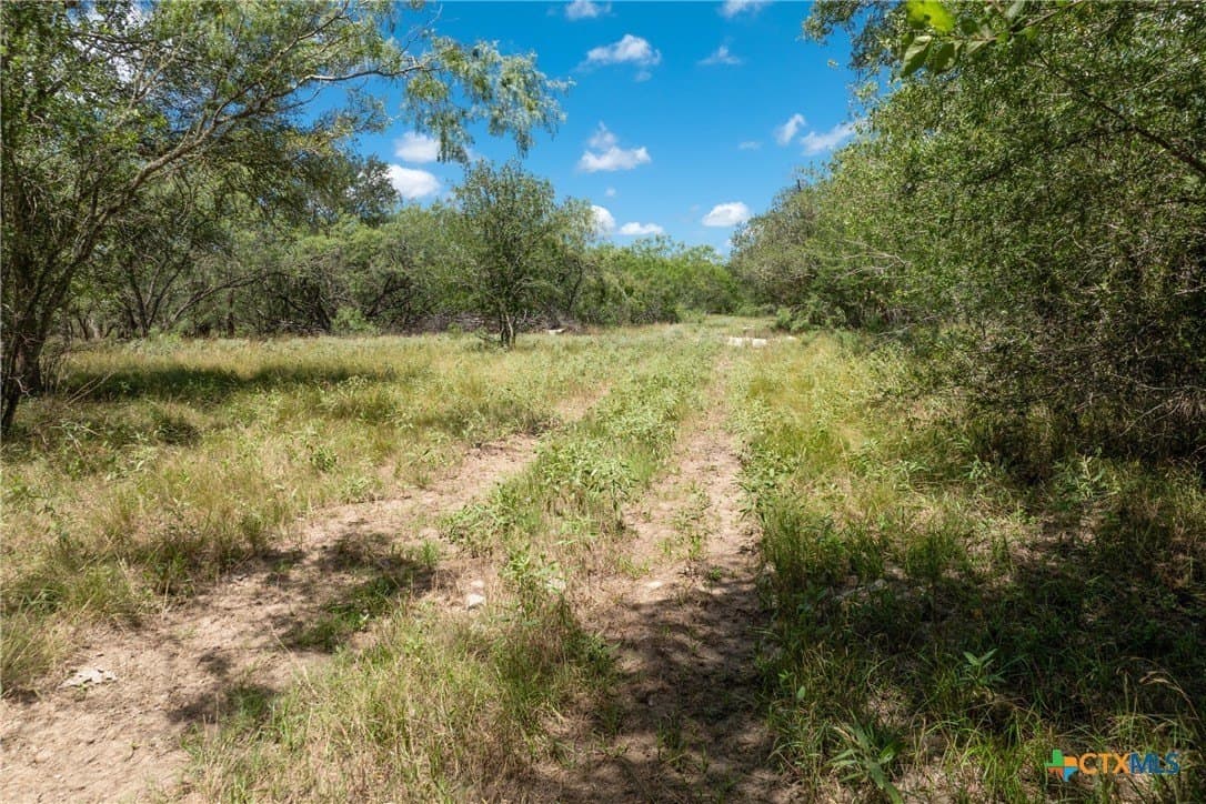 22.78 acres in Gonzales County - photo 7