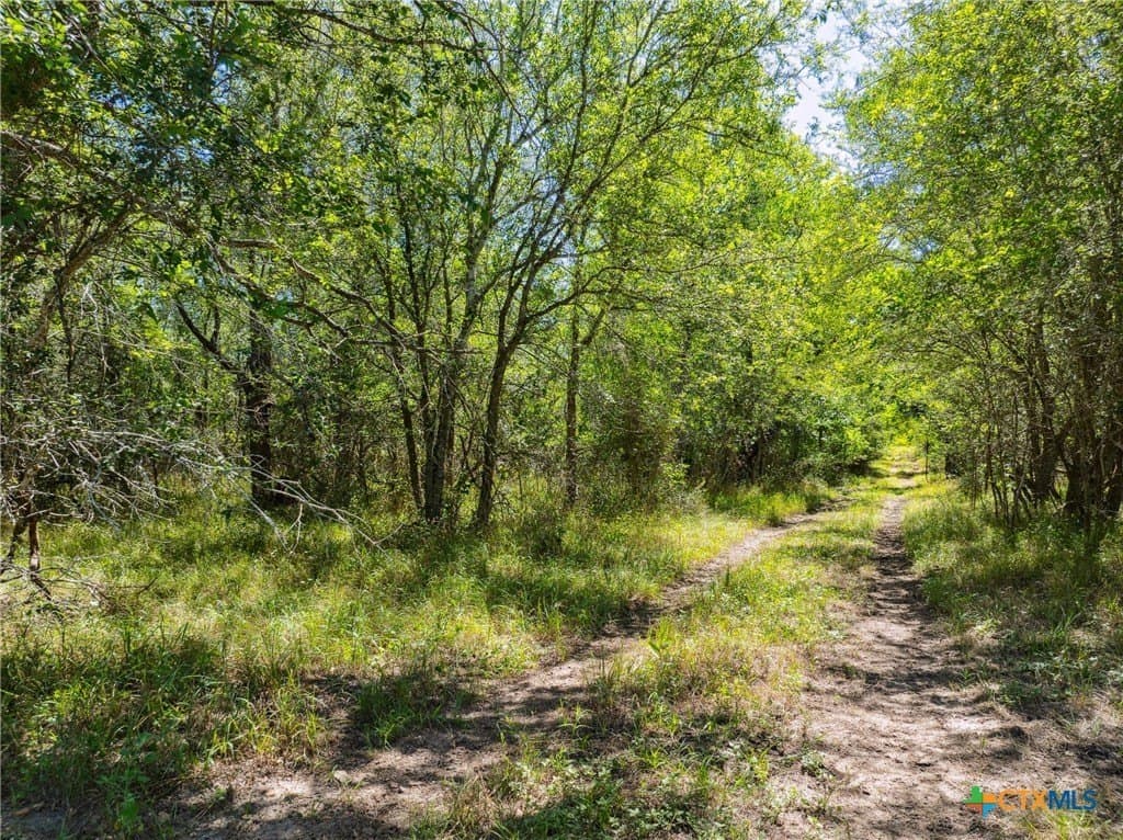 22.78 acres in Gonzales County - photo 4