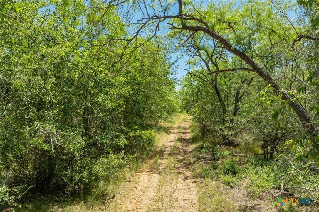22.78 acres in Gonzales County - photo 5