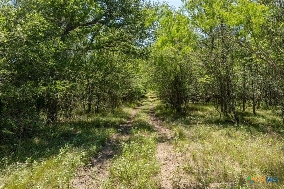 22.78 acres in Gonzales County - photo 3