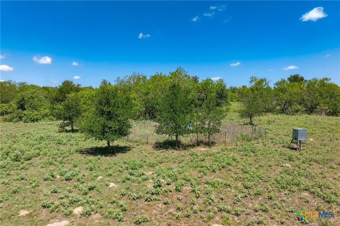 22.78 acres in Gonzales County - photo 19