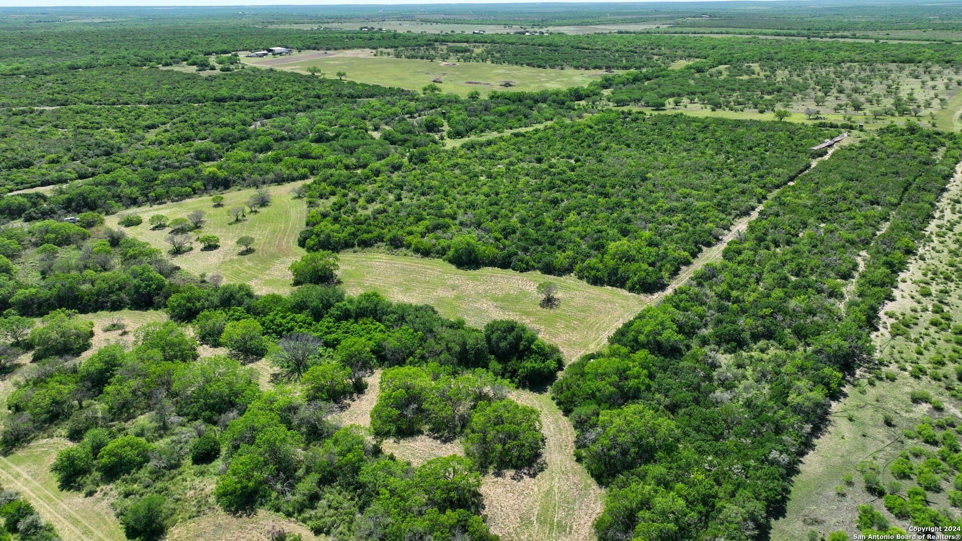 0 acres in Live Oak County - photo 21