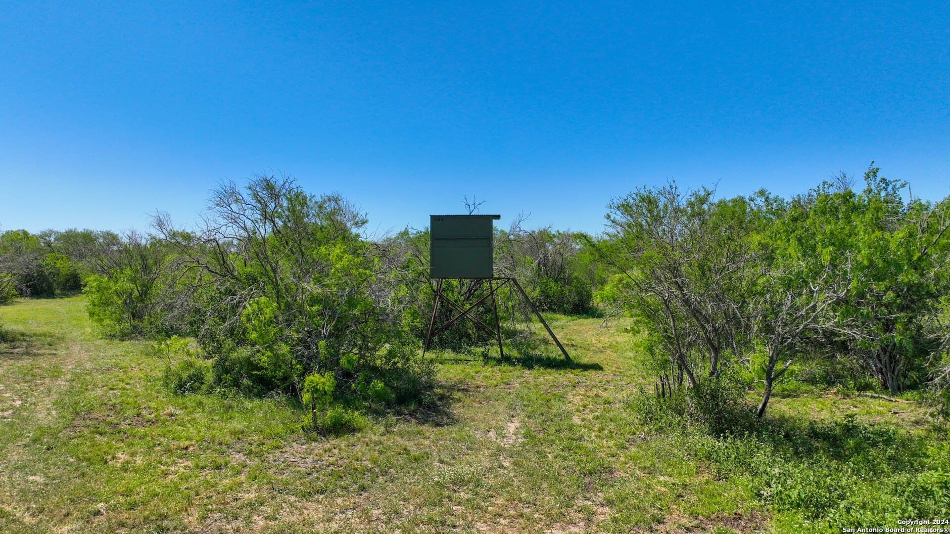 0 acres in Live Oak County - photo 20