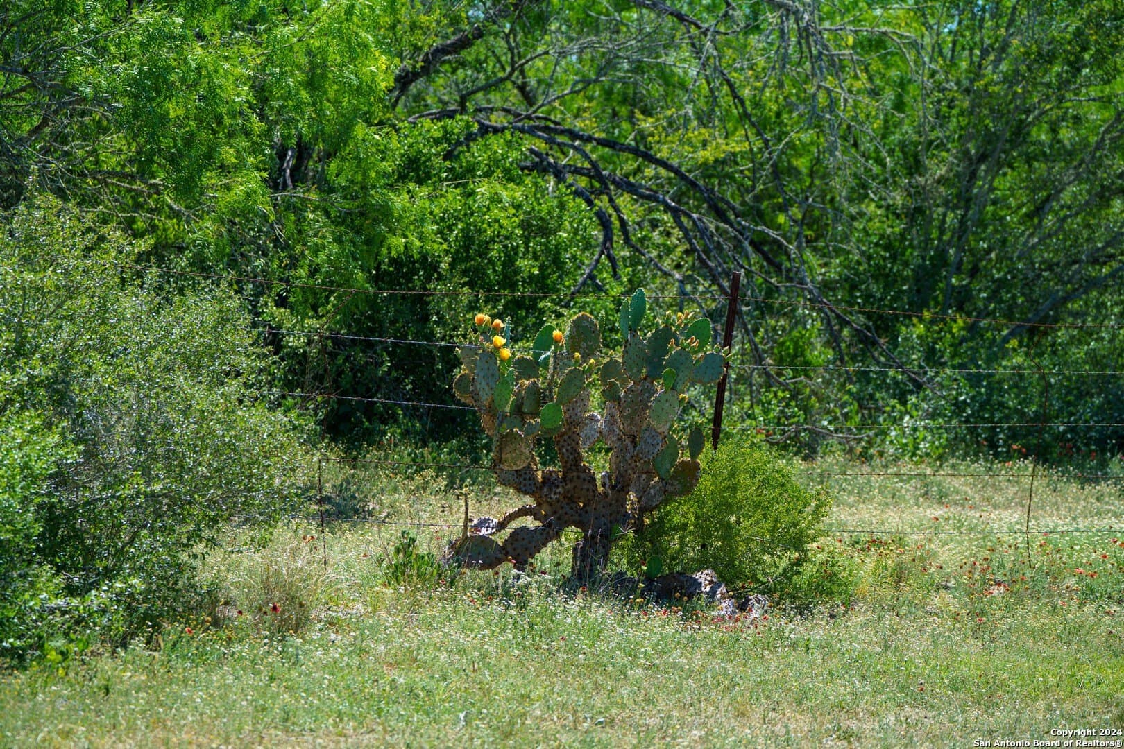 0 acres in Live Oak County - photo 32