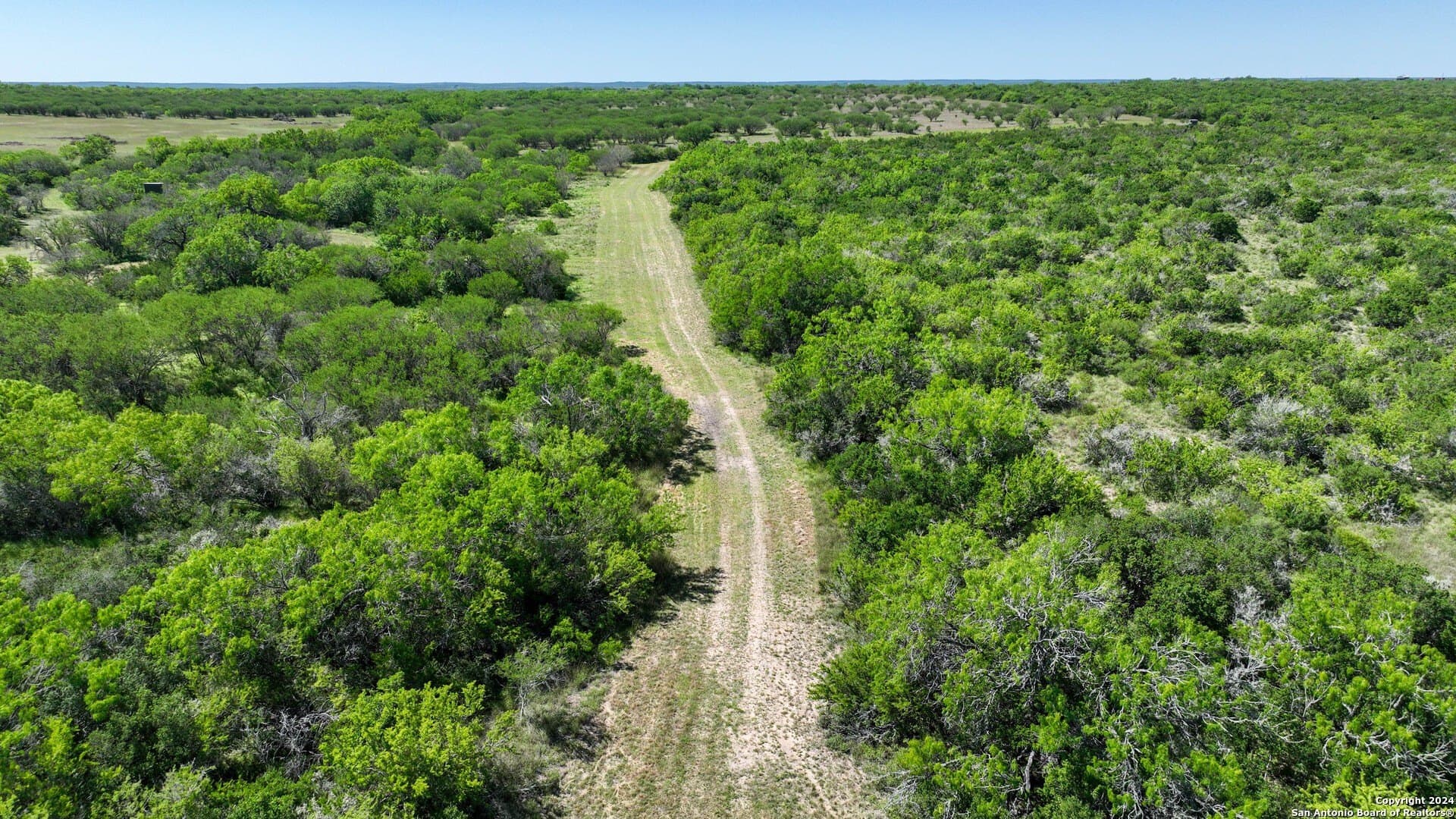 0 acres in Live Oak County - photo 19