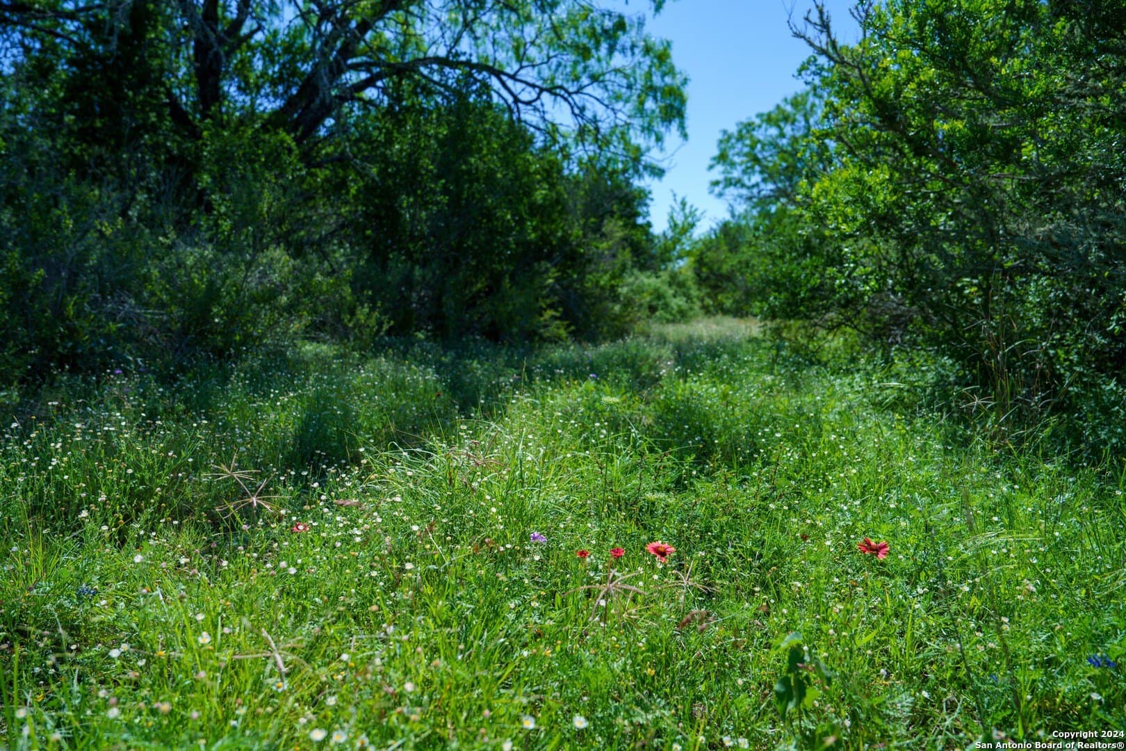 0 acres in Live Oak County - photo 14