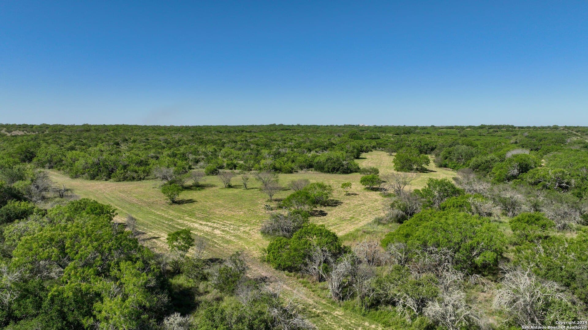 0 acres in Live Oak County - photo 2