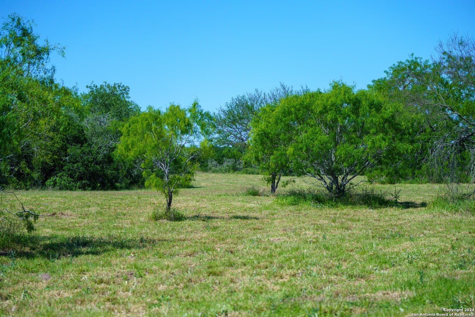 0 acres in Live Oak County - photo 16
