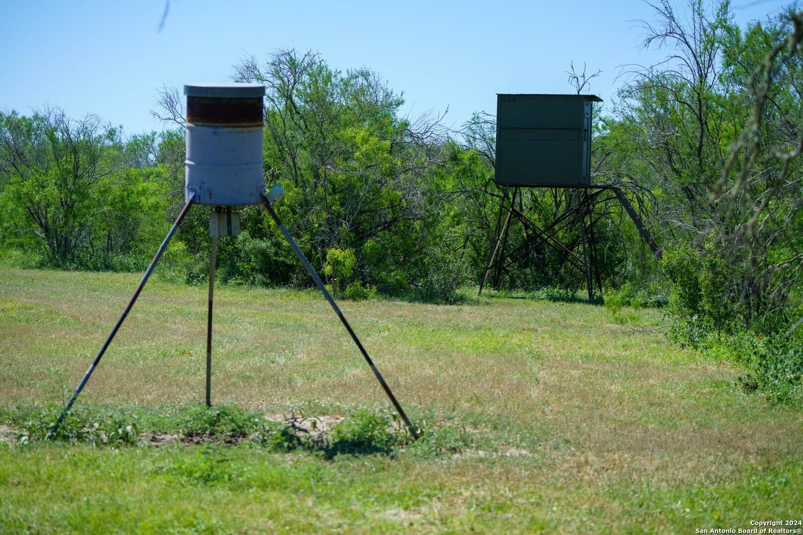 0 acres in Live Oak County - photo 31