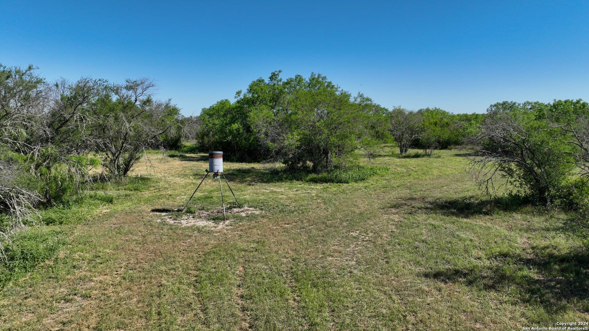 0 acres in Live Oak County - photo 6