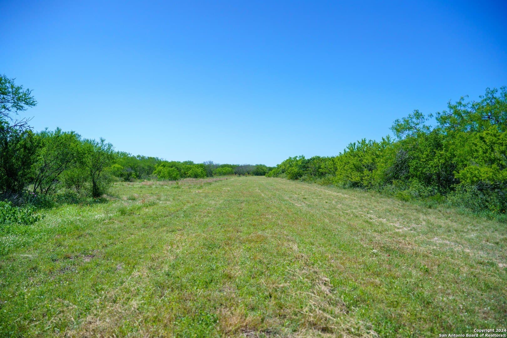 0 acres in Live Oak County - photo 27