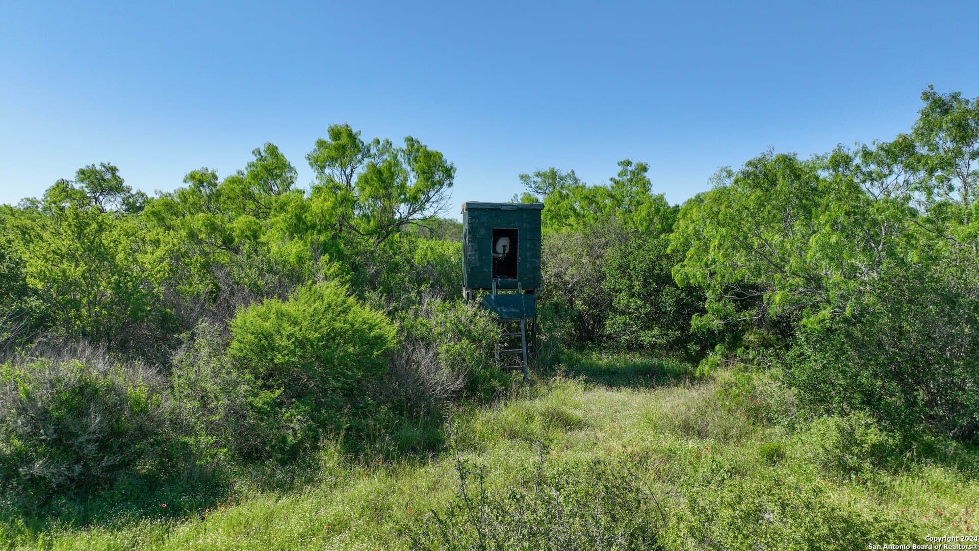0 acres in Live Oak County - photo 5