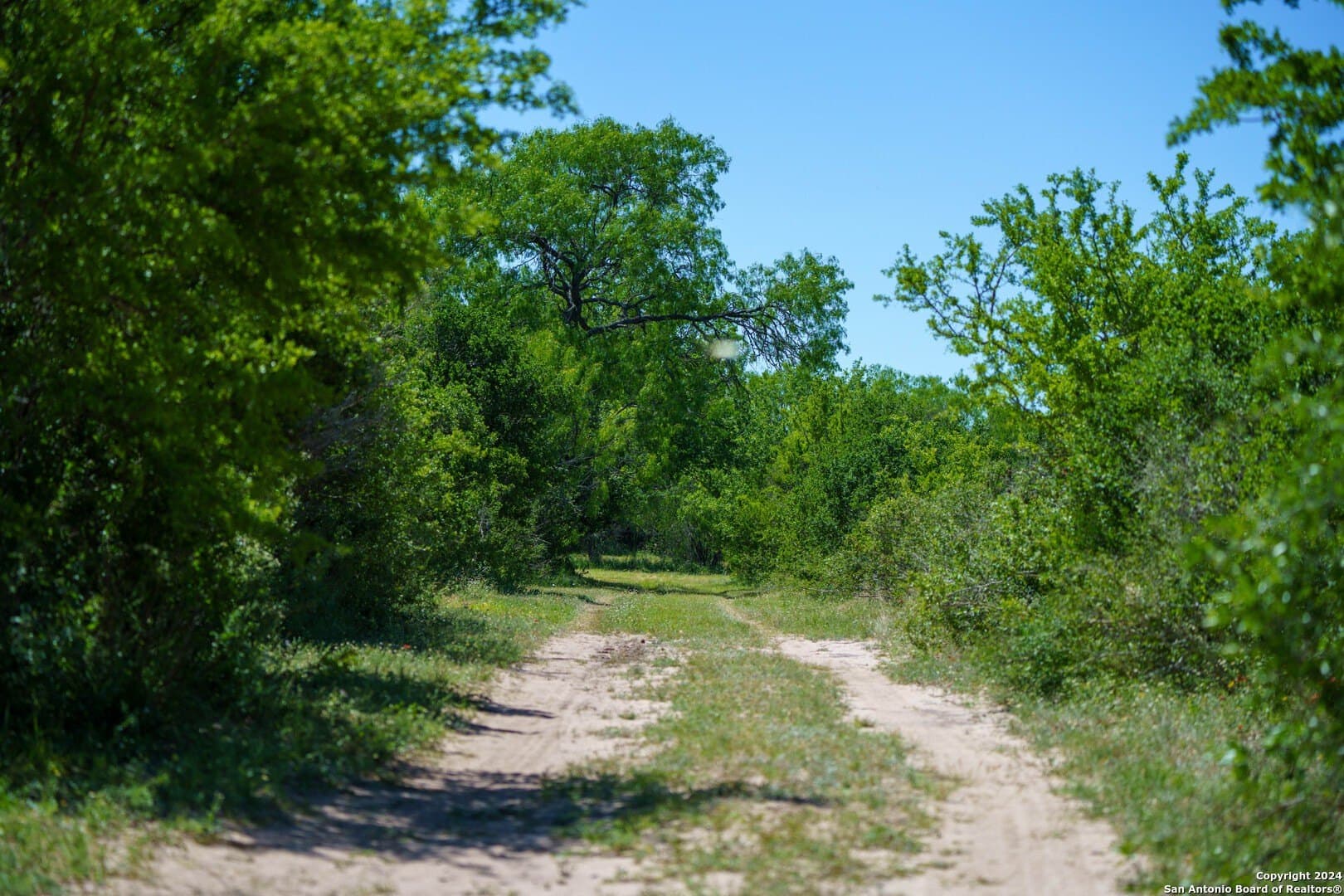 0 acres in Live Oak County - photo 33