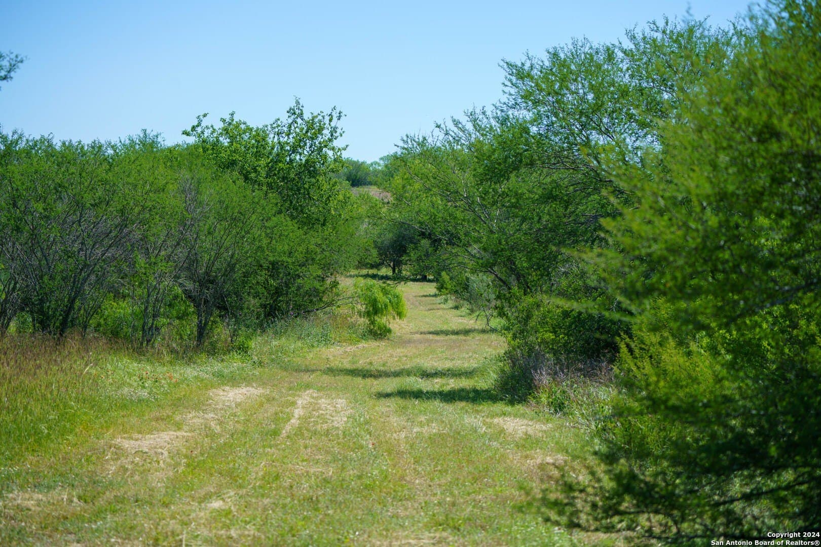 0 acres in Live Oak County - photo 29