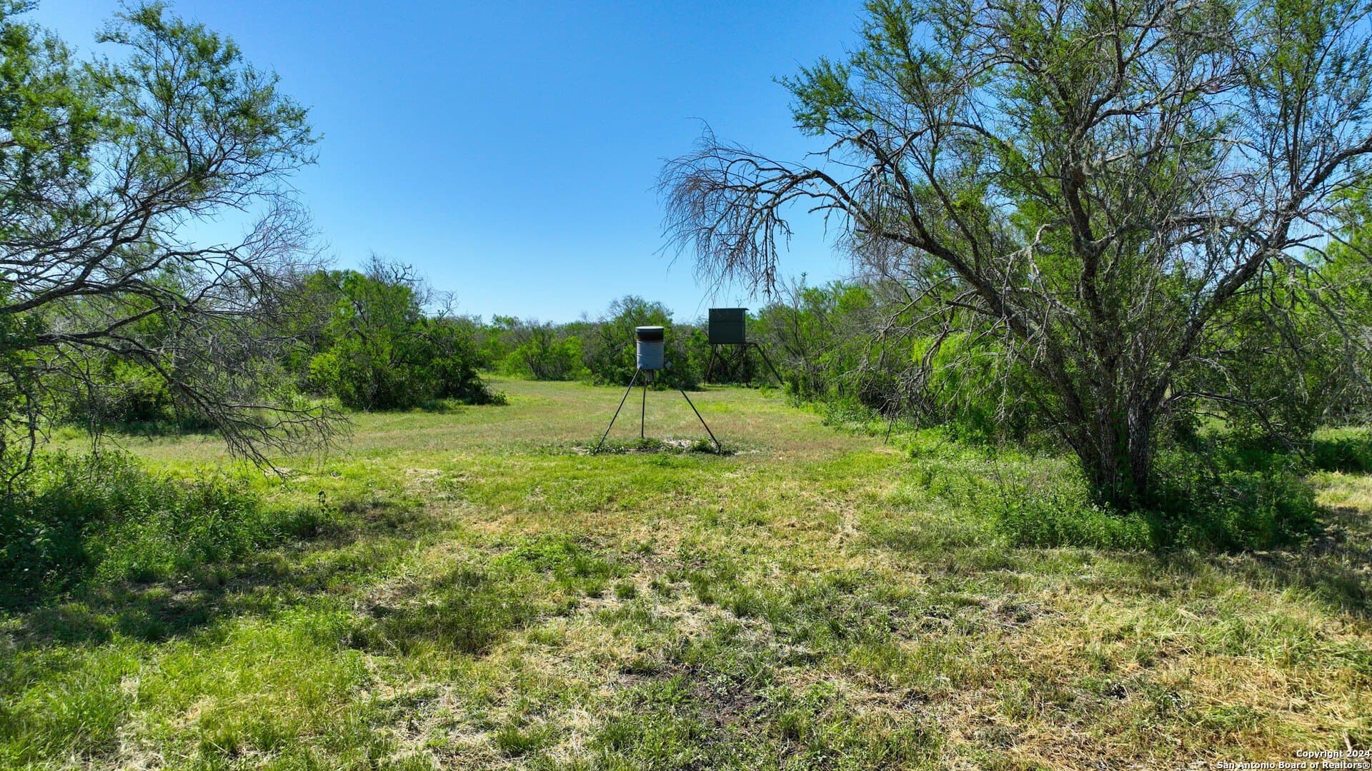 0 acres in Live Oak County - photo 18