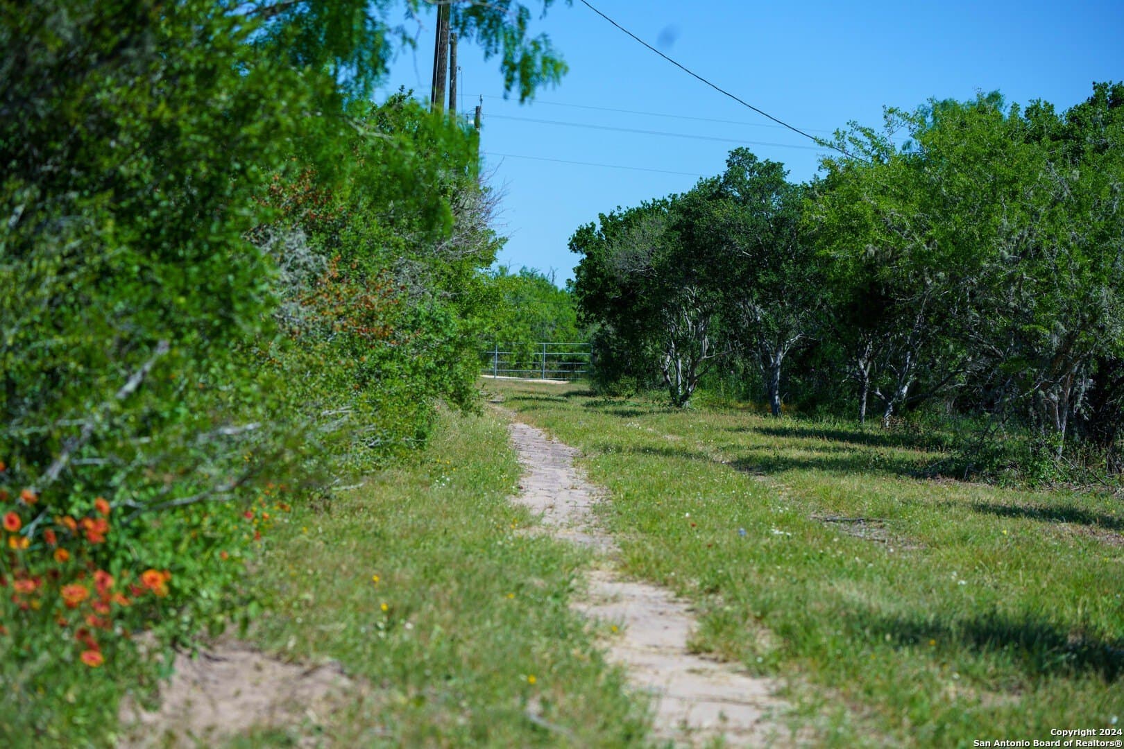 0 acres in Live Oak County - photo 10