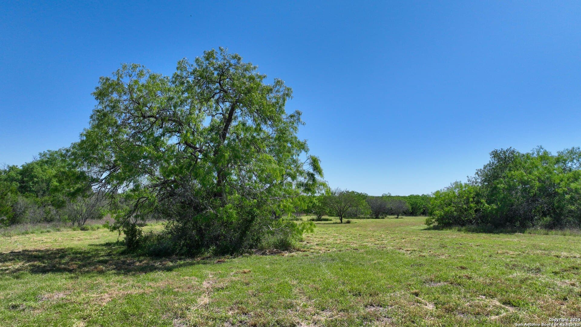 0 acres in Live Oak County - photo 22