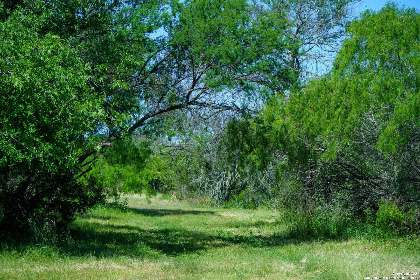 0 acres in Live Oak County - photo 13