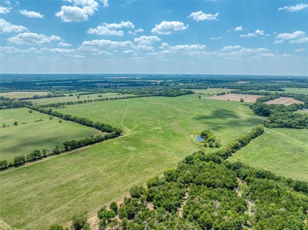 216 acres in Grayson County - photo 5
