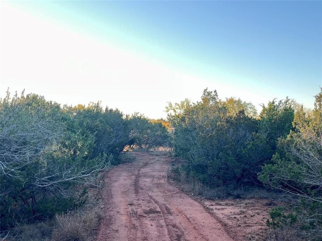 1.46 acres in Taylor County - photo 2