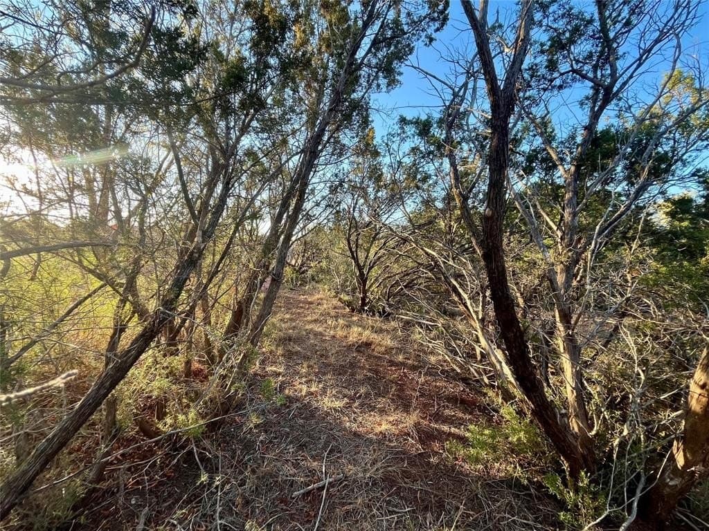 1.46 acres in Taylor County - photo 16