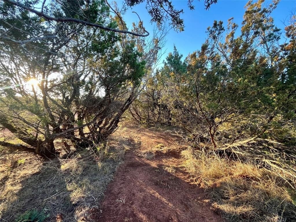 1.46 acres in Taylor County - photo 15