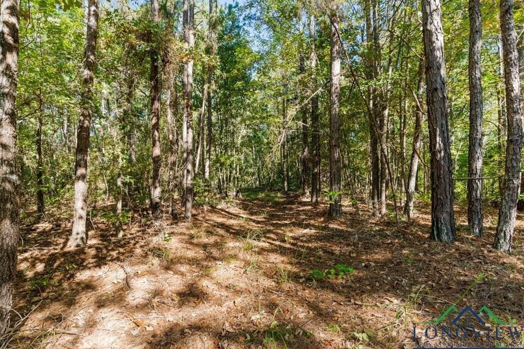10 acres in Cass County - photo 19