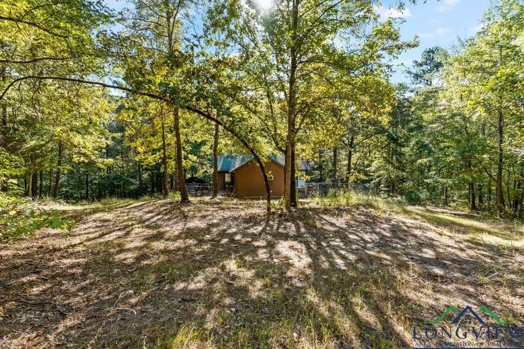 10 acres in Cass County - photo 20