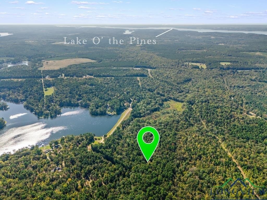 10 acres in Cass County - photo 31