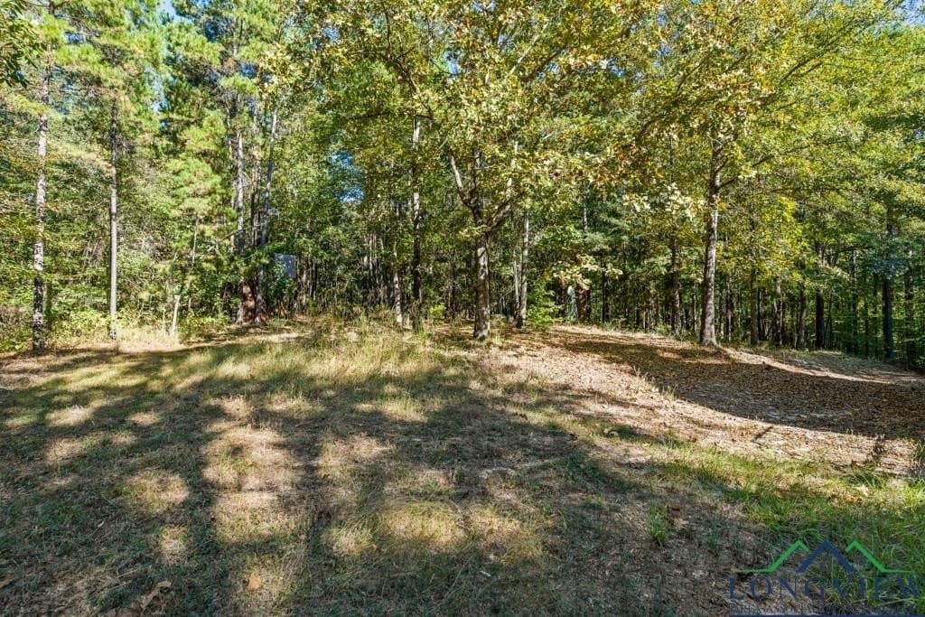 10 acres in Cass County - photo 21