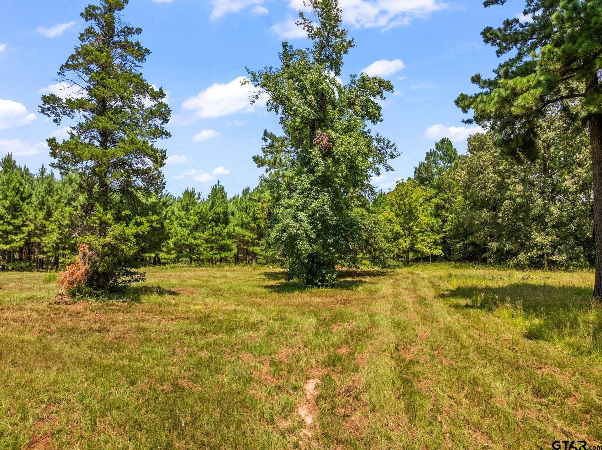 13.4 acres in Camp County - photo 9
