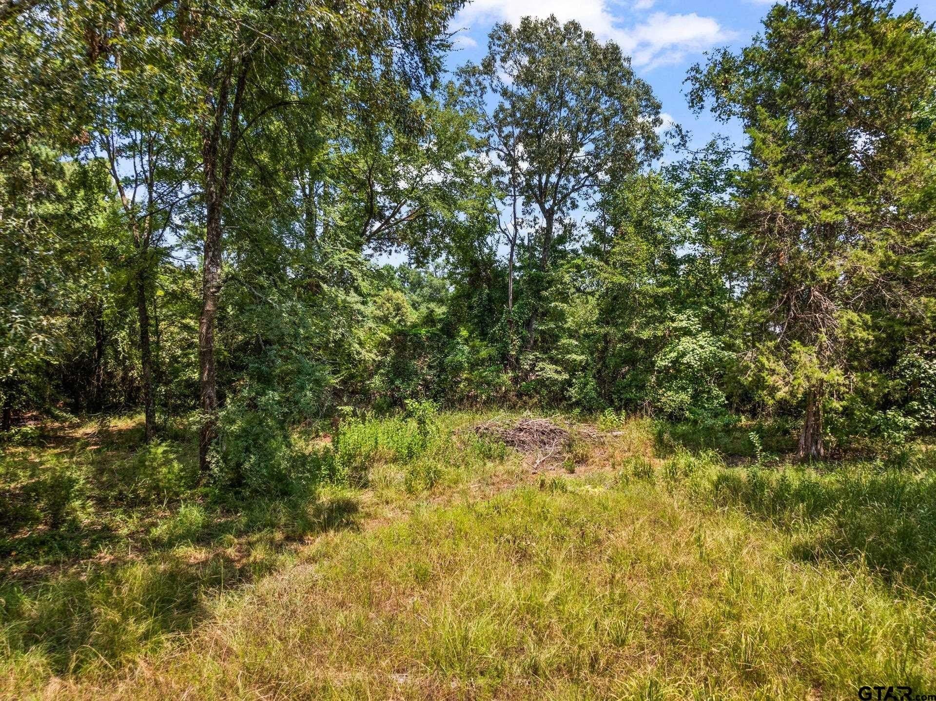 13.4 acres in Camp County - photo 11