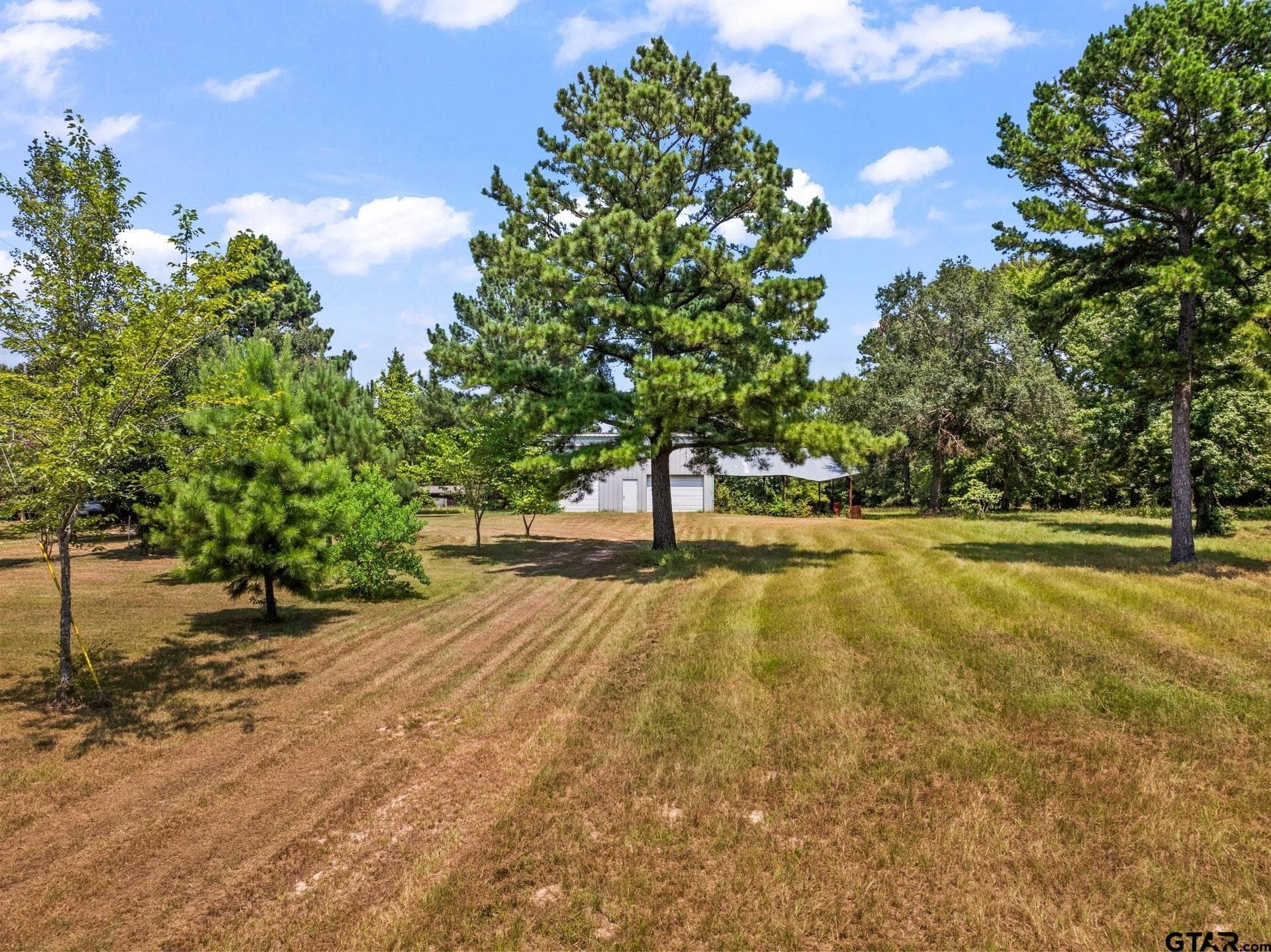 13.4 acres in Camp County - photo 2