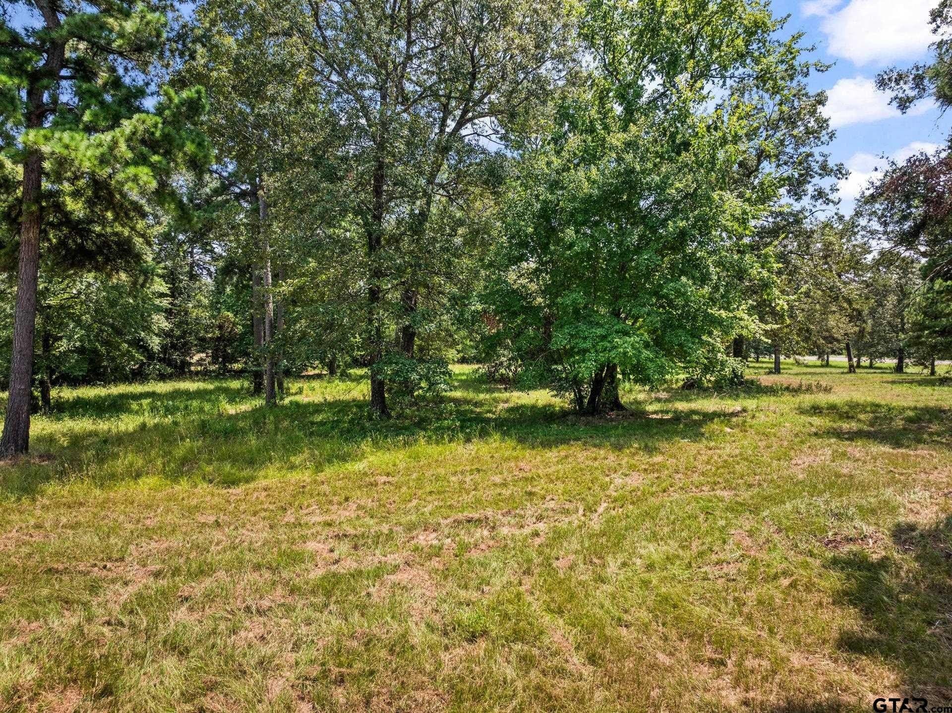 13.4 acres in Camp County - photo 10