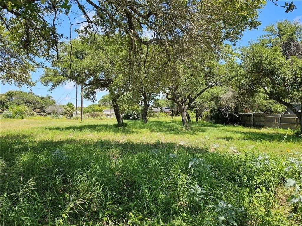 N 1/2 Lot 1 Hackberry lot: 1