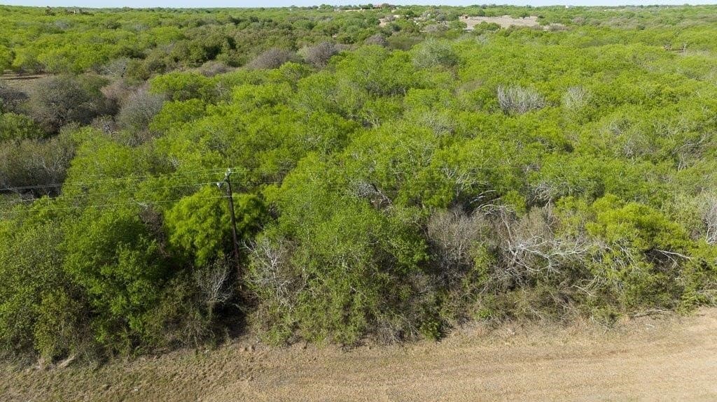 5.83 acres in Nueces County - photo 24