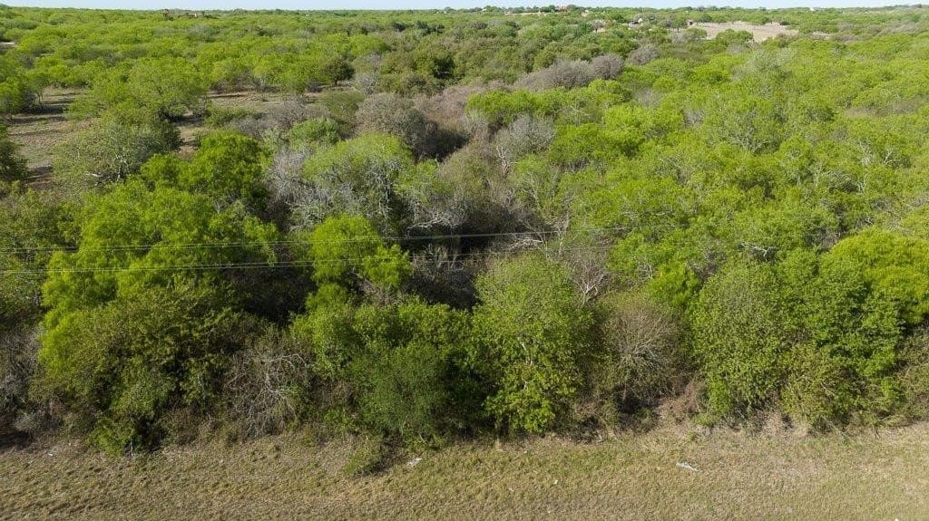 5.83 acres in Nueces County - photo 25