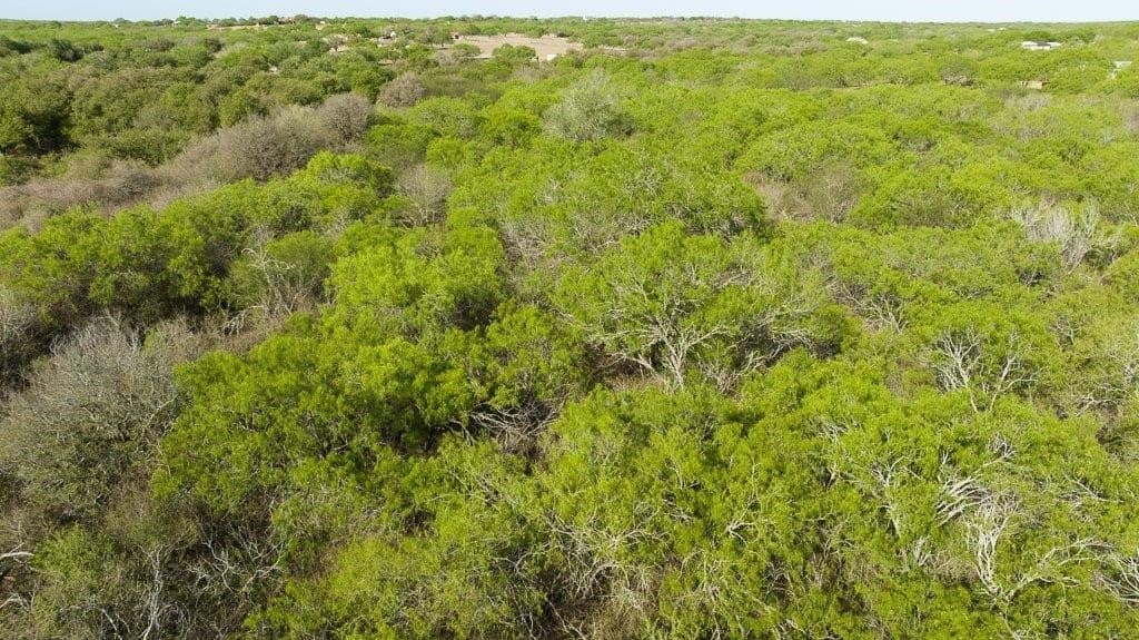 5.83 acres in Nueces County - photo 23