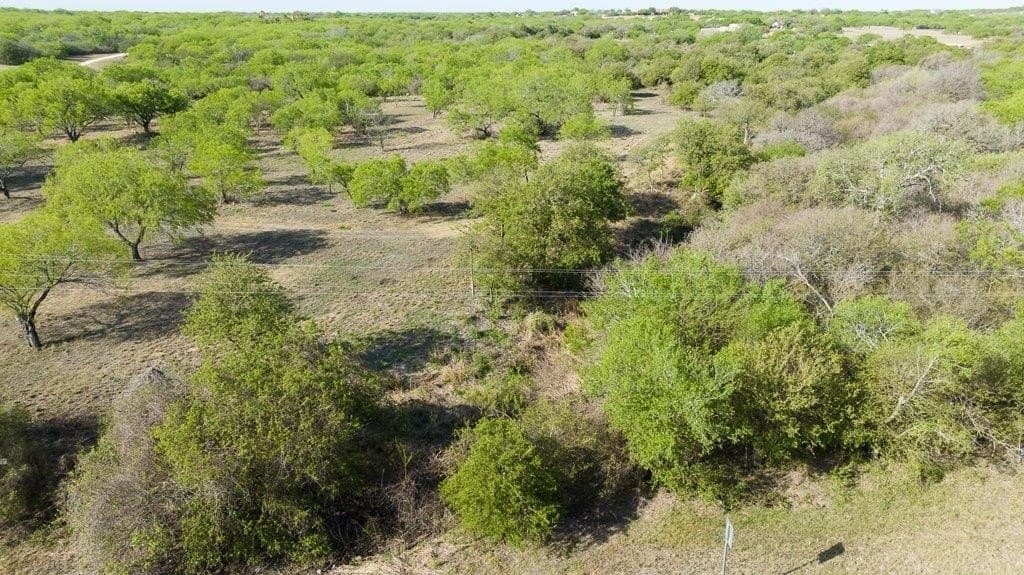 5.83 acres in Nueces County - photo 27