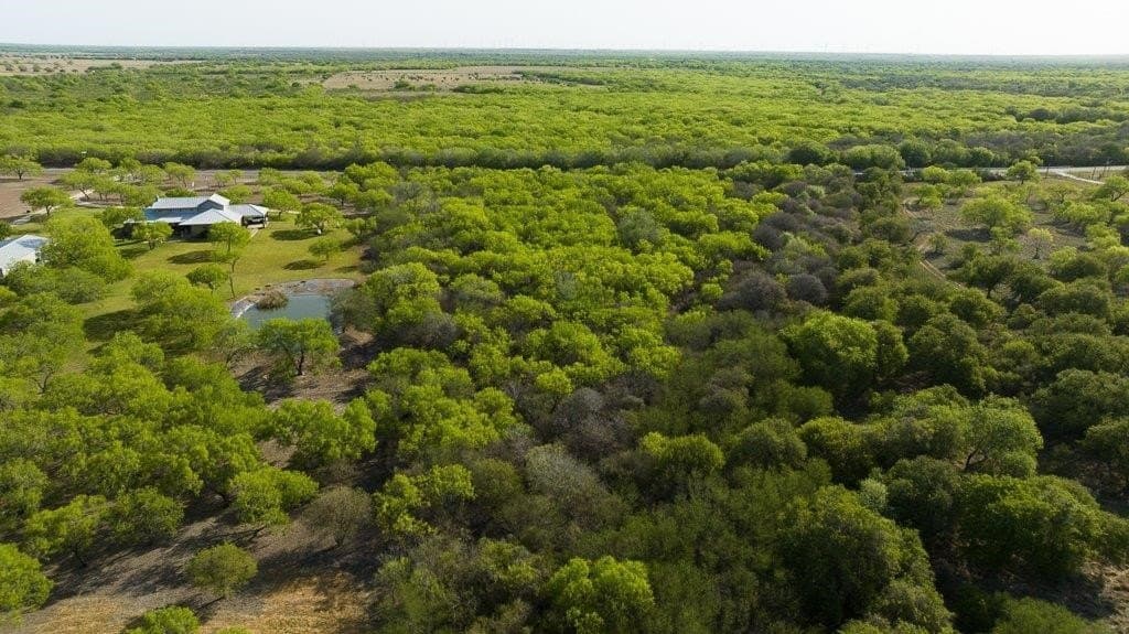 5.83 acres in Nueces County - photo 7