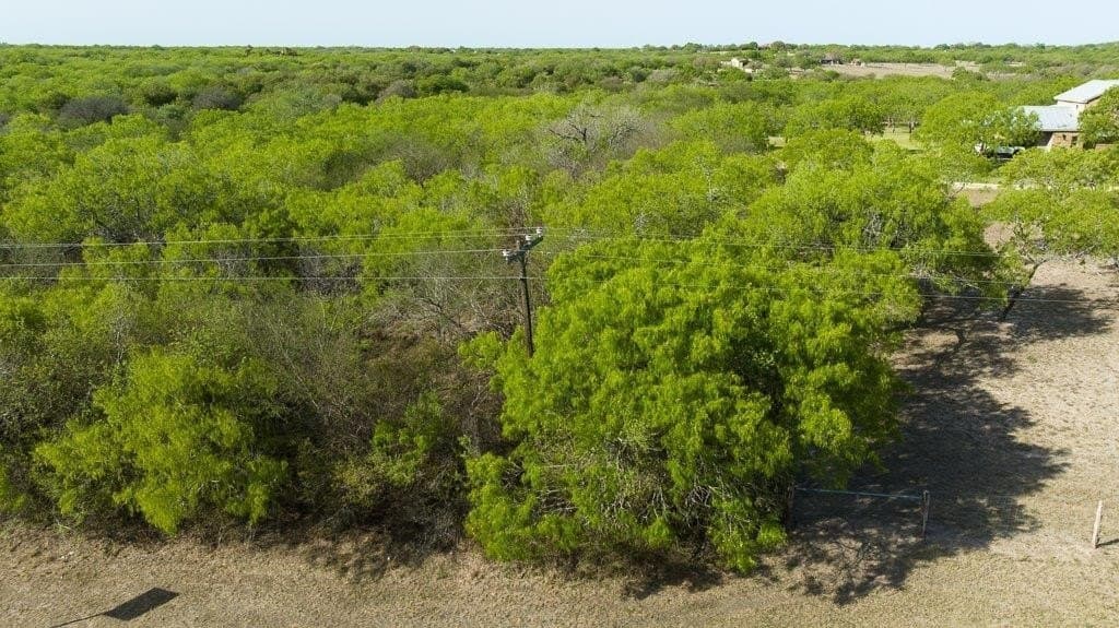5.83 acres in Nueces County - photo 31