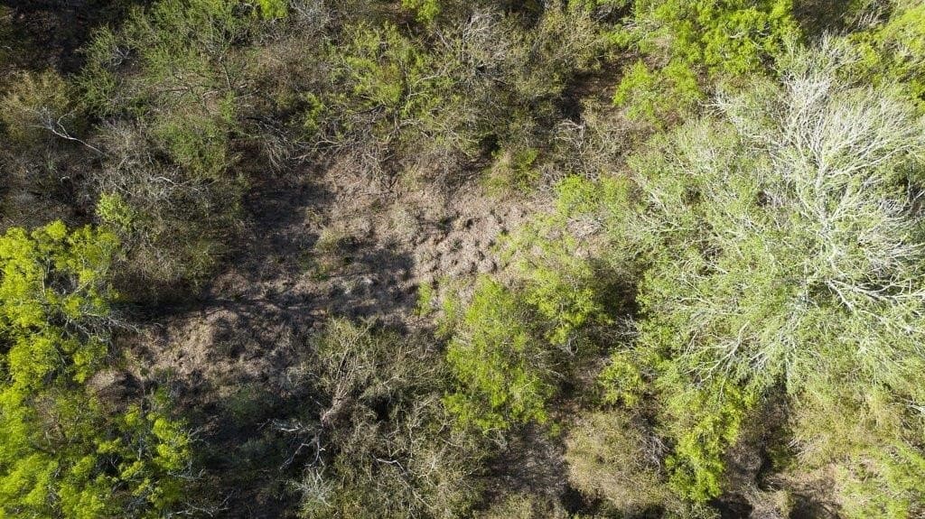 5.83 acres in Nueces County - photo 33