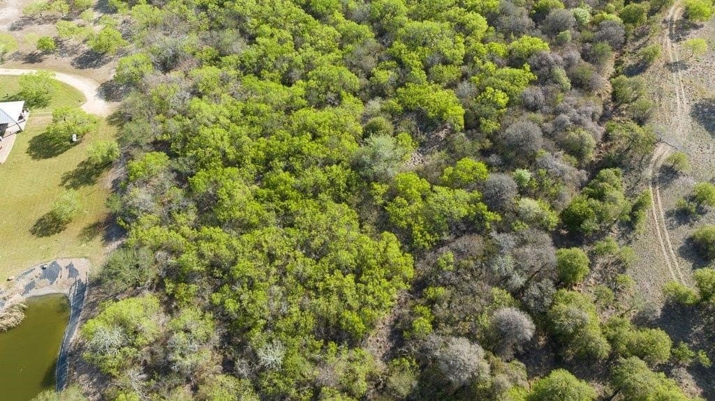 5.83 acres in Nueces County - photo 18