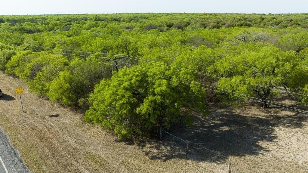 5.83 acres in Nueces County - photo 30
