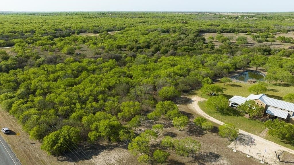 5.83 acres in Nueces County - photo 4