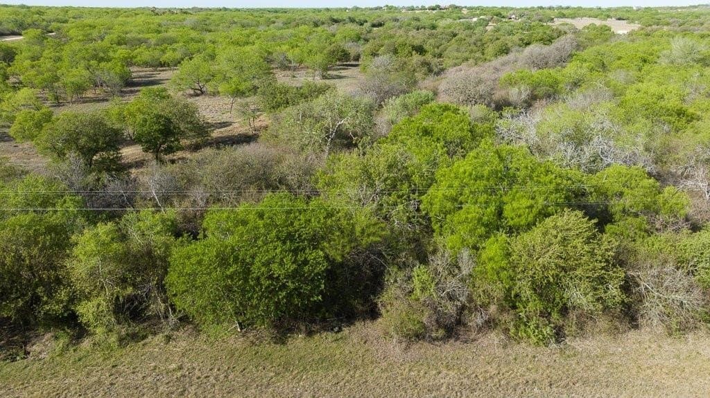 5.83 acres in Nueces County - photo 26