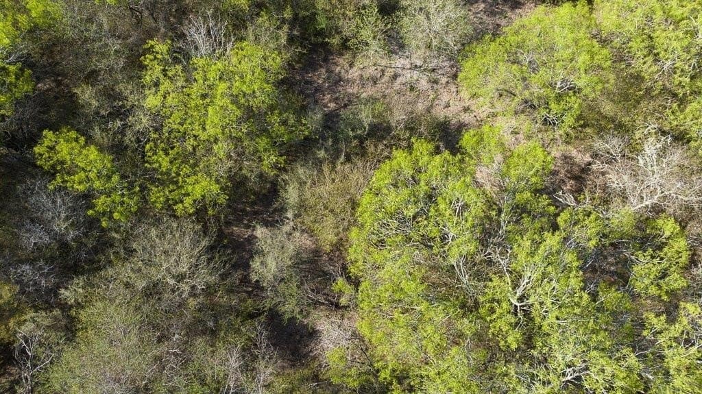 5.83 acres in Nueces County - photo 32