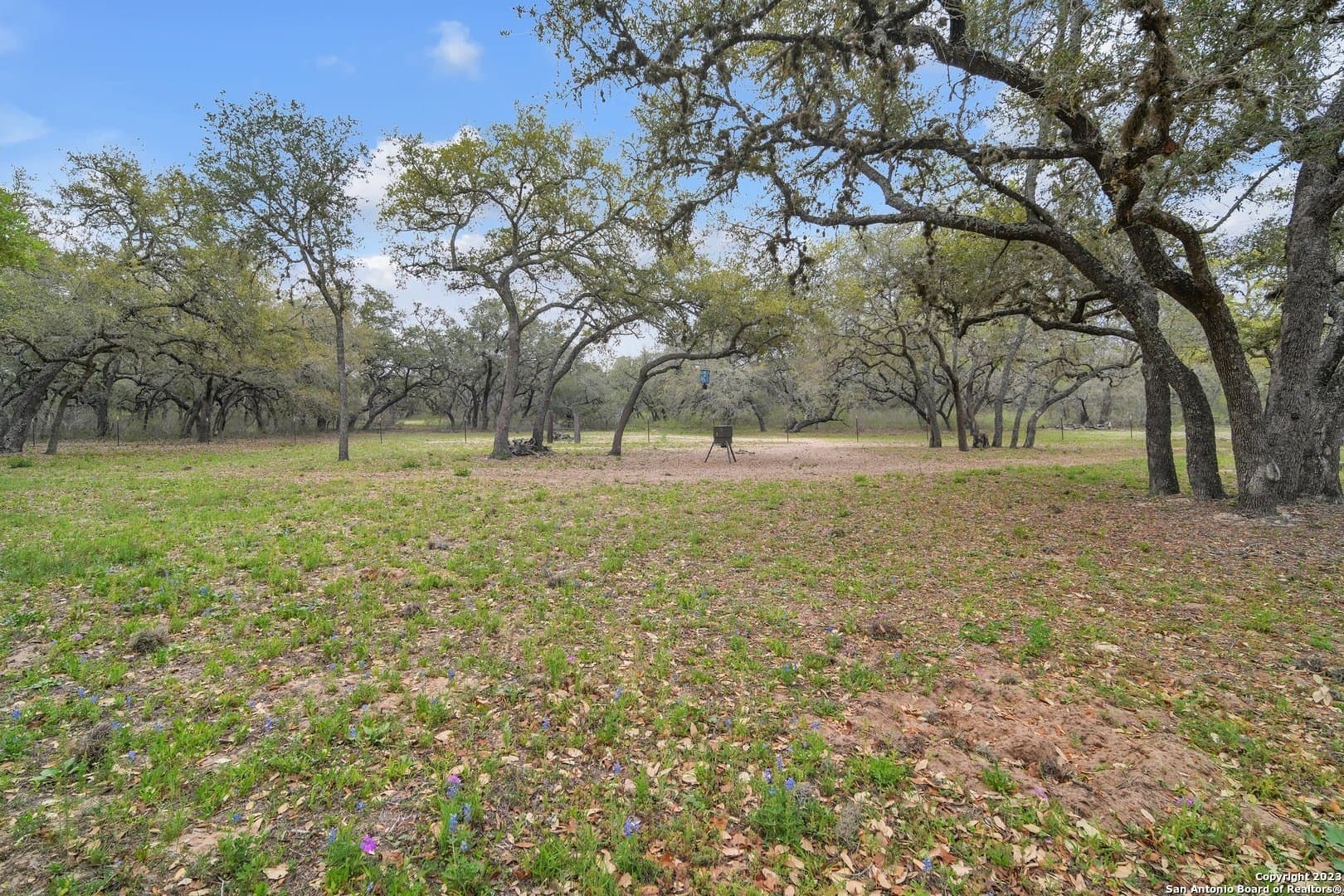 20.66 acres in Atascosa County - photo 48